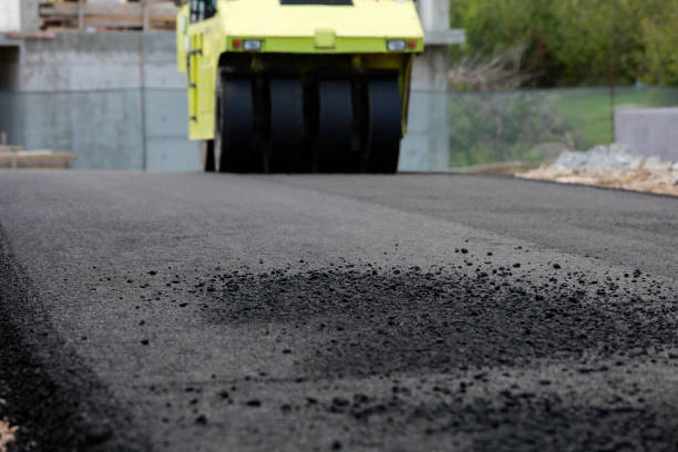 Best Local Driveway Pavers  in University Center, VA